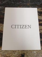 CITIZEN ECO-DRIV GN-4-S GARRISON MILITARY-INSPIRED MEN'S WATCH